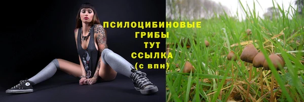 PSILOCYBIN Белокуриха