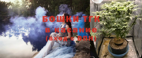 PSILOCYBIN Белокуриха