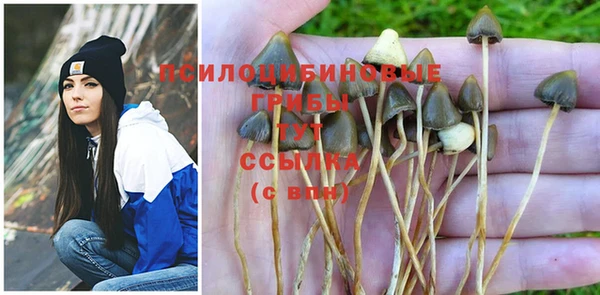 PSILOCYBIN Белокуриха